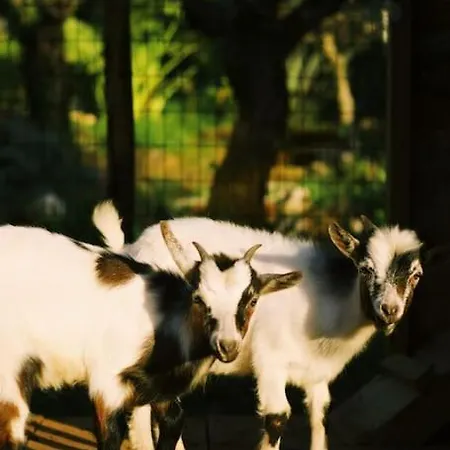 Apartamento Casa Oliva - Casa Do