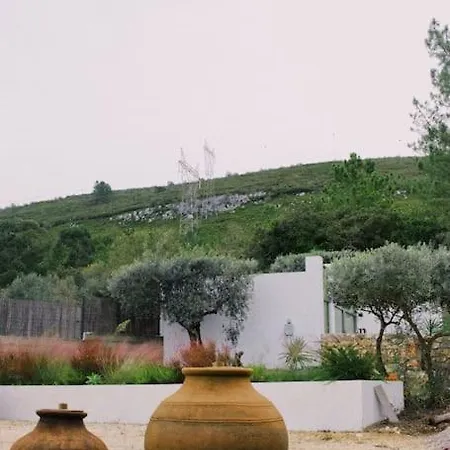 Casa Oliva - Casa Do Apartamento *