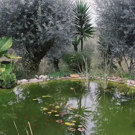 Casa Oliva - Casa Do Porto de Mós