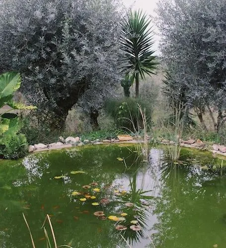 Casa Oliva - Casa Do Порту-ди-Мош