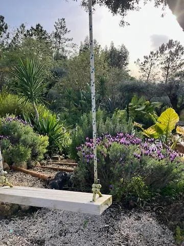 Casa Oliva - Casa Do *