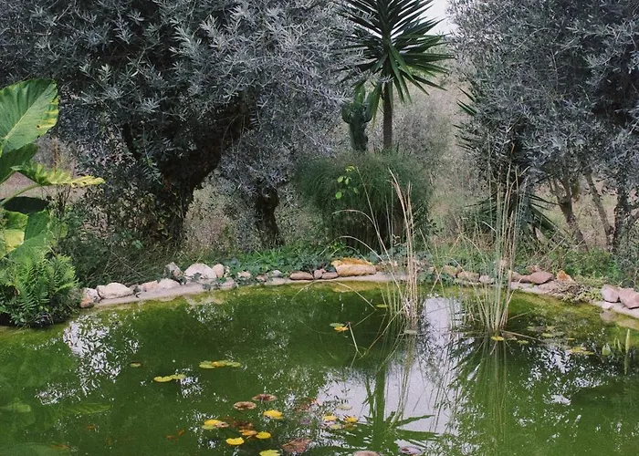 Casa Oliva - Casa Do Порту-ди-Мош