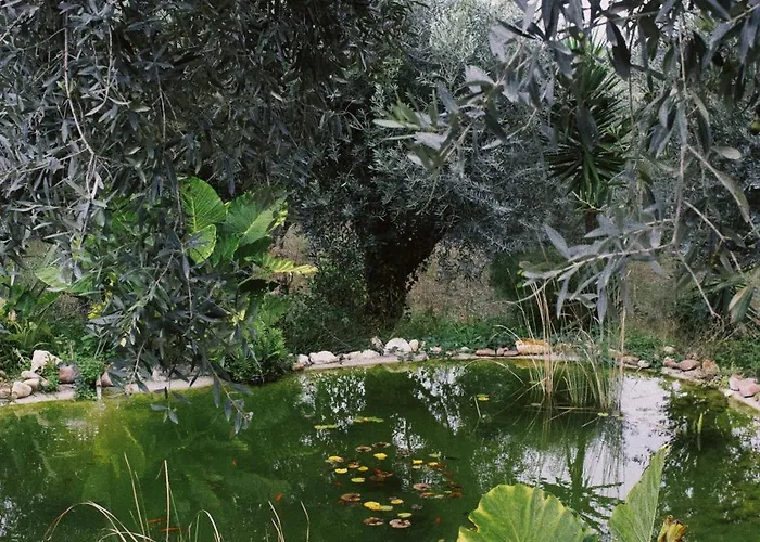 Апартаменты Casa Oliva - Casa Do *